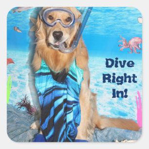 Golden Retriever Schnorkler Quadratischer Aufkleber