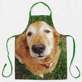 Golden Retriever Schürze