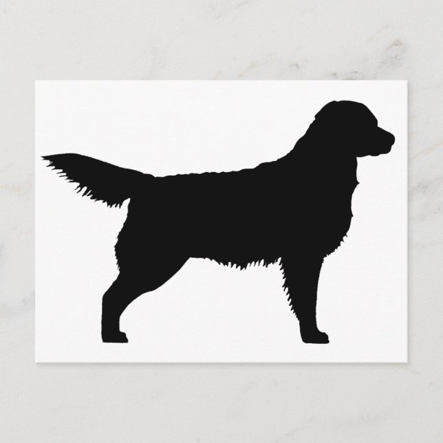 Golden Retriever (schwarz) Postkarte (Vorderseite)
