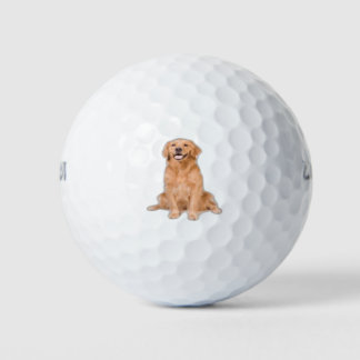 Golden Retriever Sitting - Adorable Design Golfball
