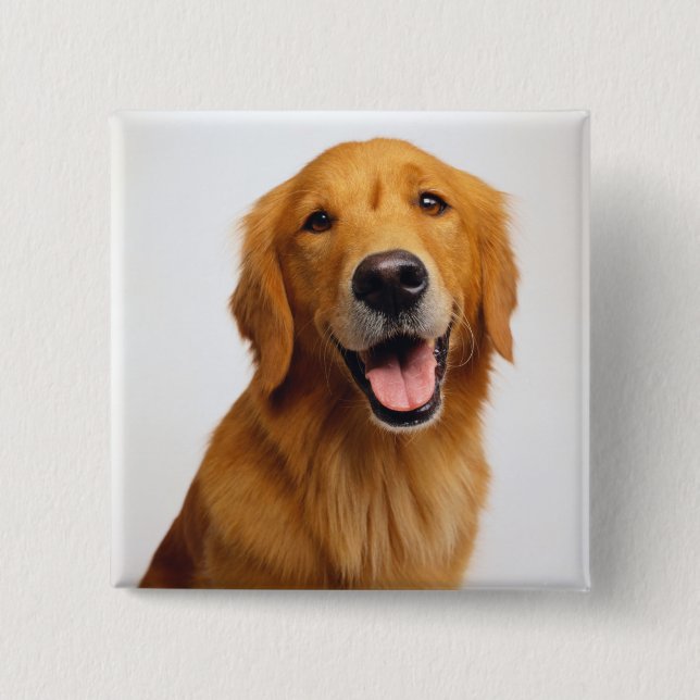 Golden Retriever Smile Button (Vorderseite)