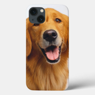 Golden Retriever Smile Case-Mate iPhone Hülle