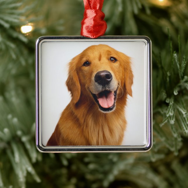 Golden Retriever Smile Ornament Aus Metall (Baum)