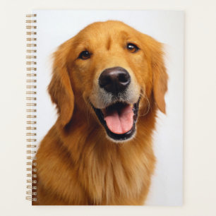 Golden Retriever Smile Planer