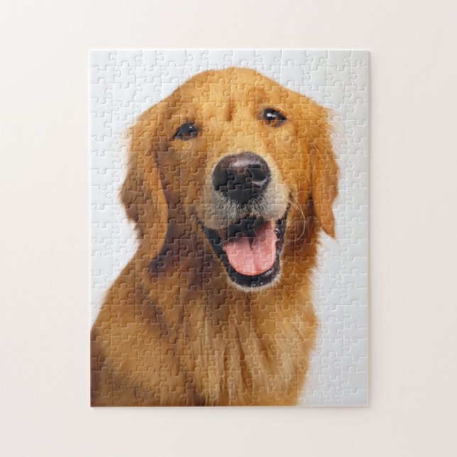 Golden Retriever Smile Puzzle (Vertikal)