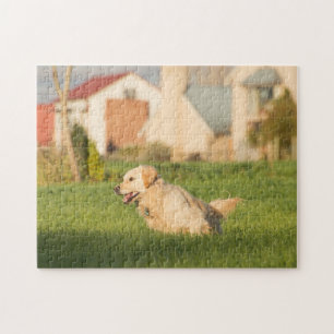 Golden retriever-Spannvorrichtung sah Puzzlespiel Puzzle