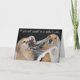 Golden Retriever SpiegelewebHalloween Feiertagskarte