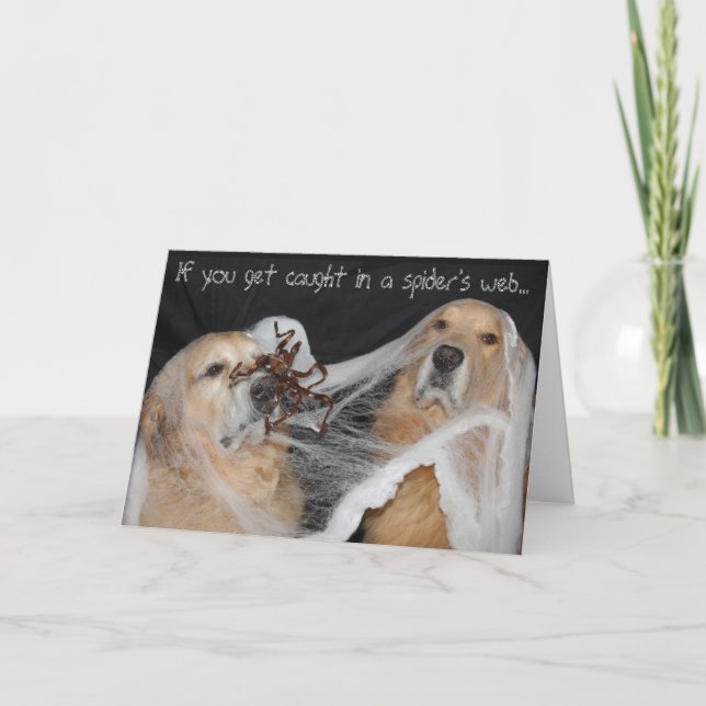 Golden Retriever SpiegelewebHalloween Feiertagskarte (Vorderseite)