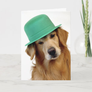 Golden retriever-St Patrick Tag Karte