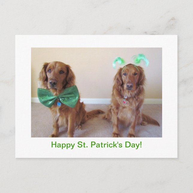 Golden Retriever St. Patrick's Day Postcard Postkarte (Vorderseite)