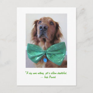 Golden Retriever St. Patrick's Day Postcard Postkarte