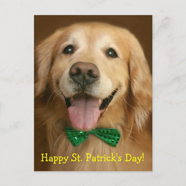 Golden Retriever St. Patrick's Day Postkarte (Vorderseite)