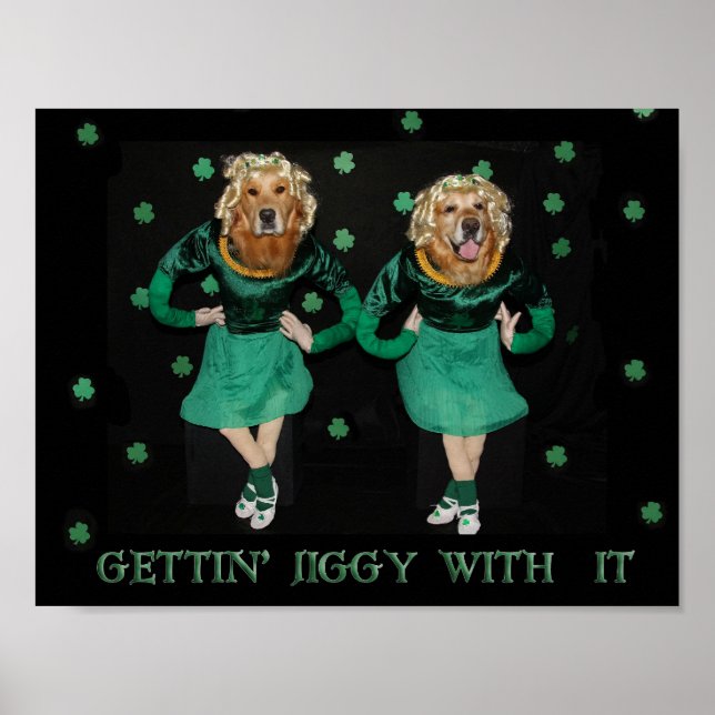 Golden Retriever Stepdancers bekommen Jiggy damit Poster (Vorne)
