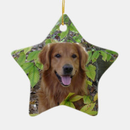 GOLDEN RETRIEVER-STERN-VERZIERUNG KERAMIK ORNAMENT