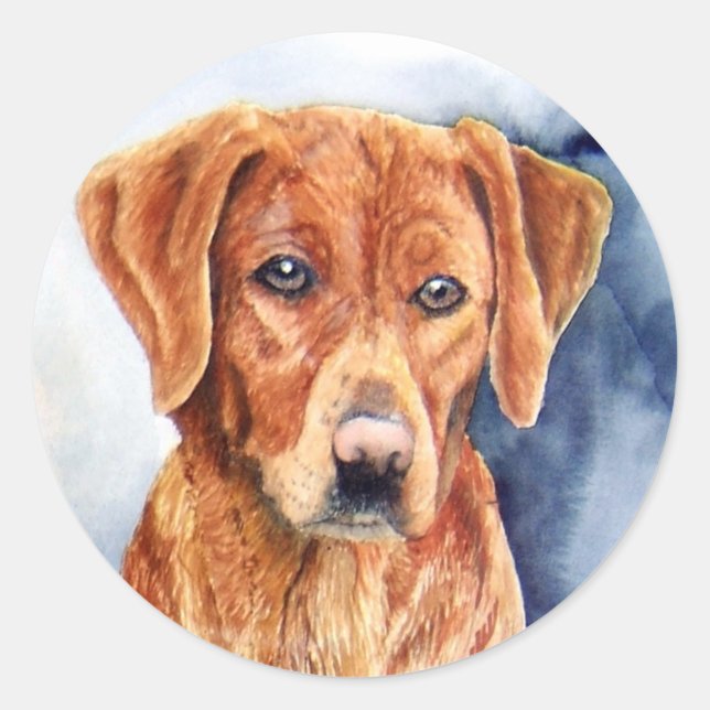 Golden Retriever Stickers (Vorderseite)
