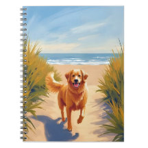 Golden Retriever Strandweg | Ocean Dog Haustier