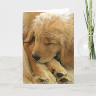 Golden Retriever Sweet Puppy Mother Day Card Karte