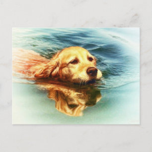 Golden Retriever Swimming - Hund Art Postkarte