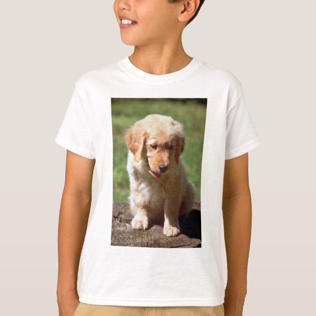 Golden Retriever T-Shirt (Vorderseite)