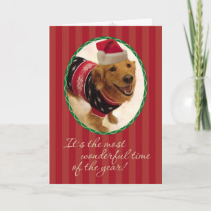 Golden Retriever - Tacky Christmas Sweater Feiertagskarte