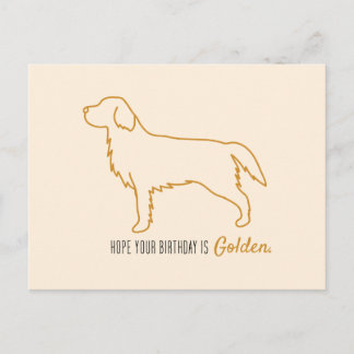 Golden Retriever Taschentücher Postkarte