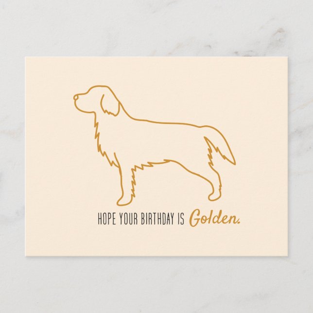 Golden Retriever Taschentücher  Postkarte (Vorderseite)