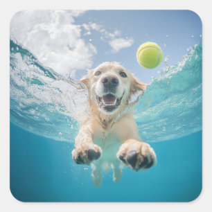 Golden Retriever Tauchen Tennis Ball Unterwasser Quadratischer Aufkleber