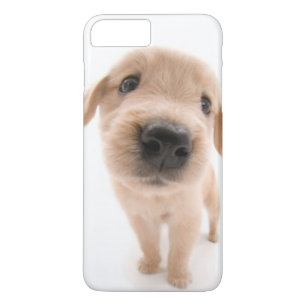 Golden retriever-Telefon-Kasten Case-Mate iPhone Hülle