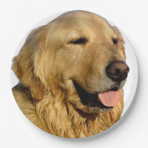 Golden Retriever Teller