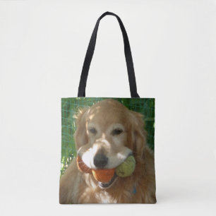 Golden Retriever & Tennisbälle