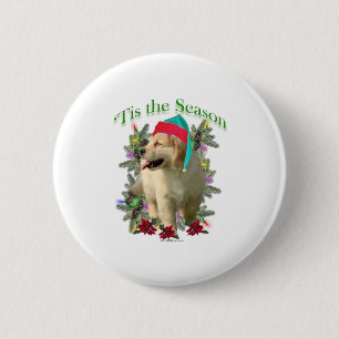 Golden retriever ` Tis Button