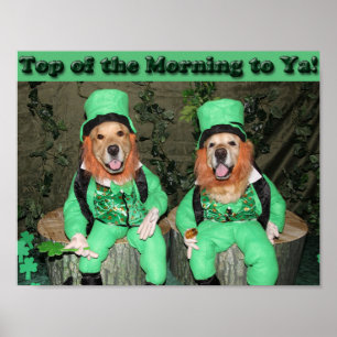 Golden Retriever Top of the Morning Leprechuns Poster