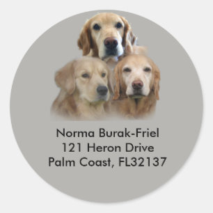 Golden Retriever Trio Rücksendeadresse Briefmarke Runder Aufkleber