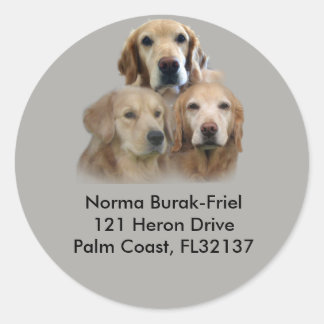 Golden Retriever Trio Rücksendeadresse Briefmarke Runder Aufkleber