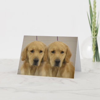 Golden Retriever Twins Grußkarte Karte