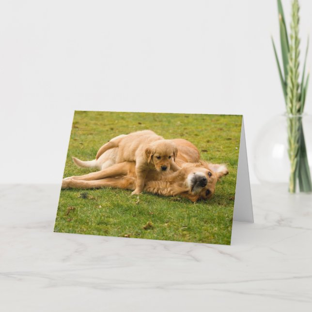 Golden Retriever und Puppy Vatertag Card Karte (Vorderseite)