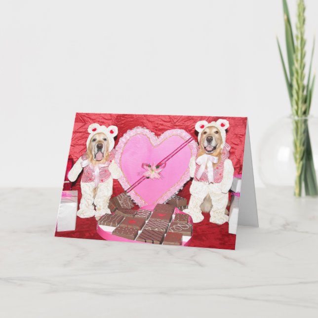 Golden Retriever Valentine and Chocolate Bears Karte (Vorderseite)