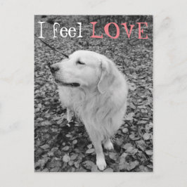 Golden Retriever VALENTINE DAY Postcard Feiertagspostkarte