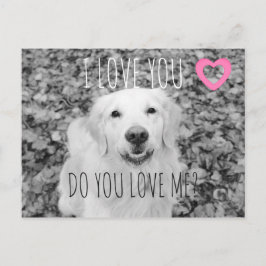 Golden Retriever VALENTINE Postcard Feiertagspostkarte