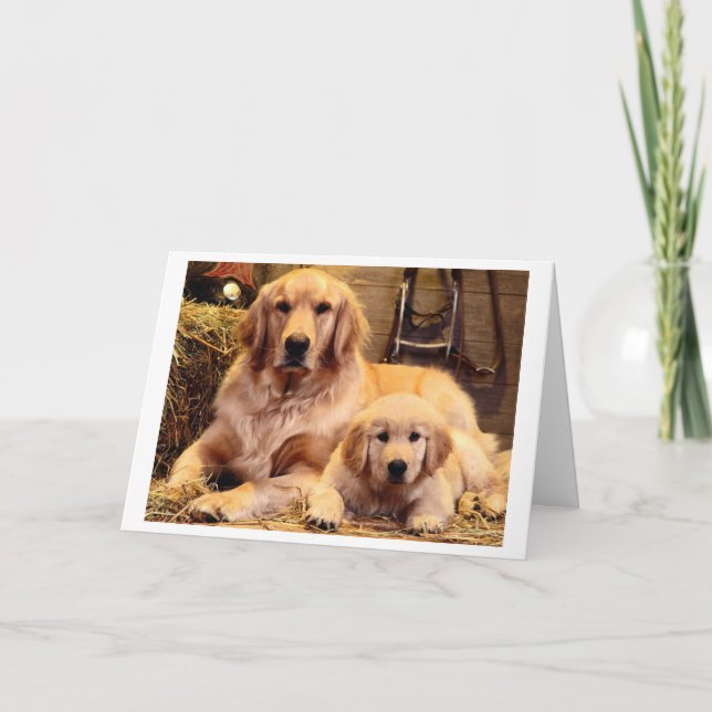 Golden Retriever Vatertag Card Karte (Vorderseite)