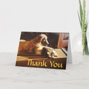 Golden Retriever Vielen Dank Card Cat Best Friends Dankeskarte