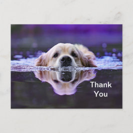 Golden Retriever Vielen Dank Postcard Postkarte