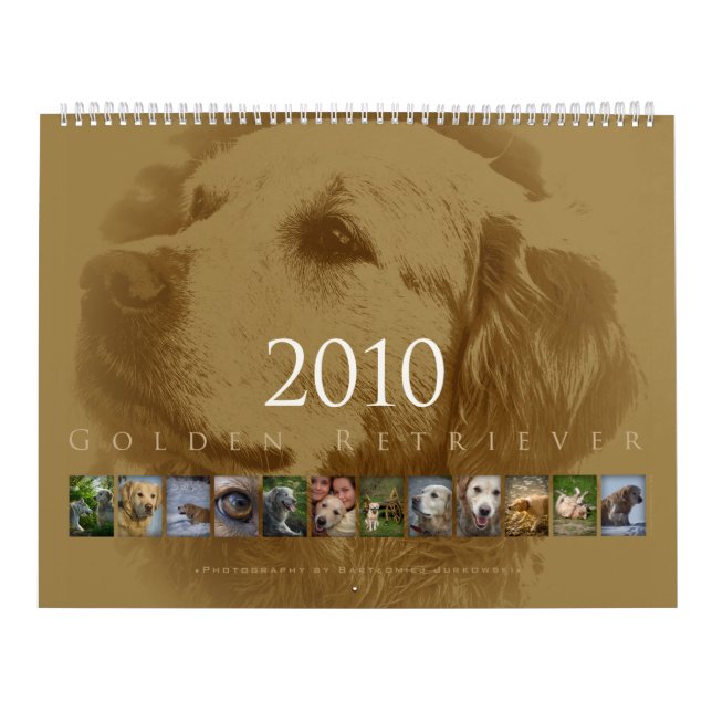 Golden retriever - Wandkalender 2010 (Titelbild)