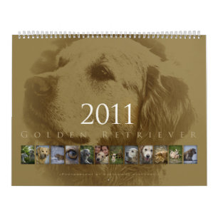 Golden retriever - Wandkalender 2011
