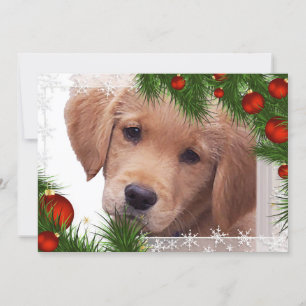 Golden Retriever Weihnachten - Niedlicher Hundewel Einladung
