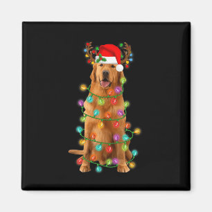 Golden Retriever Weihnachtsbaum Lights Pajama Dog Magnet
