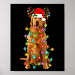 Golden Retriever Weihnachtsbaum Lights Pajama Dog Poster
