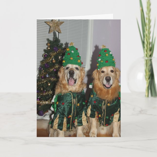 Golden retriever-Weihnachtsbäume Feiertagskarte (Vorderseite)