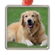 Golden Retriever Weihnachtsdekoration Metall Custo