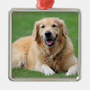Golden Retriever Weihnachtsdekoration Metall Custo Silbernes Ornament